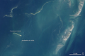 Oil Reaches Chandeleur Islands, Louisiana