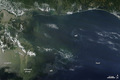 Oil Slick in the Gulf of Mexico